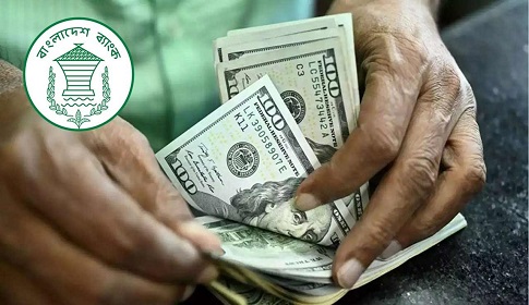 প্রবাসী আয়ে চাঙ্গা রিজার্ভ