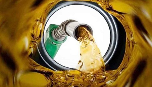 ‘জ্বালানি তেলে প্রতিদিন ১৬৭ কোটি টাকা ভর্তুকি দিচ্ছে সরকার’