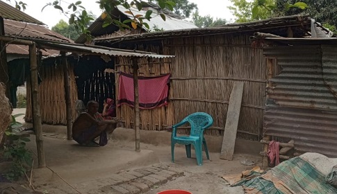 নড়াইলে ফের রাতের আঁধারে গরু চুরি