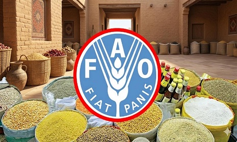 বিশ্বজুড়ে খাদ্যপণ্যের দাম বাড়ার সতর্কতা জাতিসংঘের