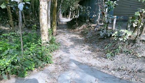 টাঙ্গাইলে গ্রামীণ অবকাঠামো ও সংস্কার কর্মসূচির লাখ লাখ টাকা আত্মসাতের অভিযোগ