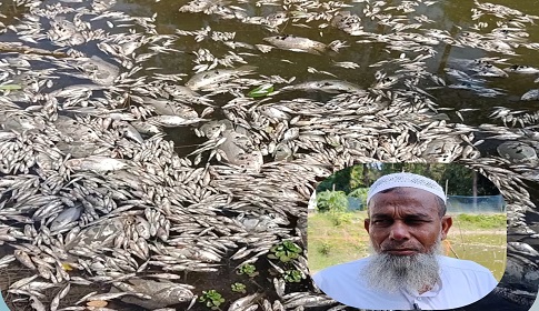 সুবর্ণচরে বিষ দিয়ে মাছ মারার অভিযোগ 