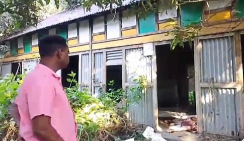 মুন্সীগঞ্জে পরিত্যক্ত ঘর থেকে ১৩টি জবাইকৃত ঘোড়া উদ্ধার 