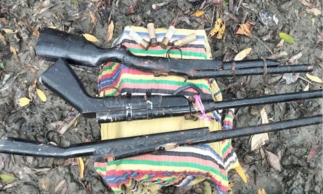 সুন্দরবনে টহল চলাকালে ডাকাত সন্দেহে গুলিবর্ষণ, অস্ত্র উদ্ধার