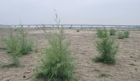 নাব্যতা সংকটে ধরলা নদী, হারাচ্ছে প্রাণ ও প্রবাহ