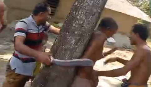শ্যামনগরে জমি জবরদখলে বাধা, বৃদ্ধকে গাছে বেঁধে নির্যাতন