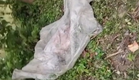 নগরকান্দায় ট্রেনে কাটা পড়ে বৃদ্ধের মর্মান্তিক মৃত্যু