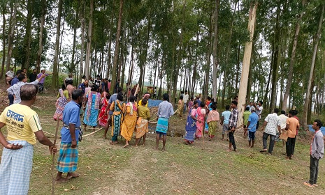 দিনাজপুরে আদিবাসী পল্লীতে গাছ কাটা নিয়ে সংঘর্ষ, মন্দির ভাঙচুর