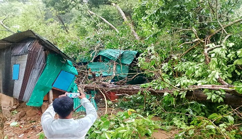 কাপ্তাইয়ে ঝড়ে উপড়ে পড়ল গাছ, দুই বসতঘর বিধ্বস্ত, অল্পের জন্য রক্ষা