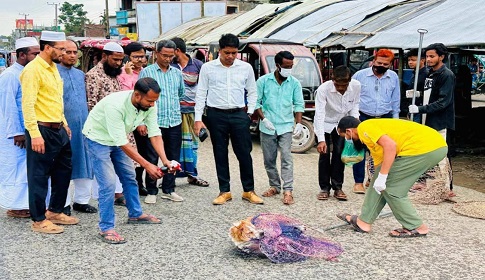 ফুলপুরে কুকুর-বিড়ালের ভ্যাকসিন প্রদান