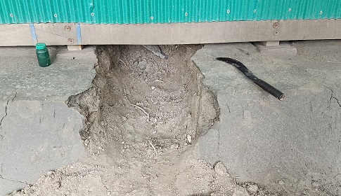 সুবর্ণচরে সিঁধ কেটে ঘরে ঢুকে দুর্ধর্ষ চুরি