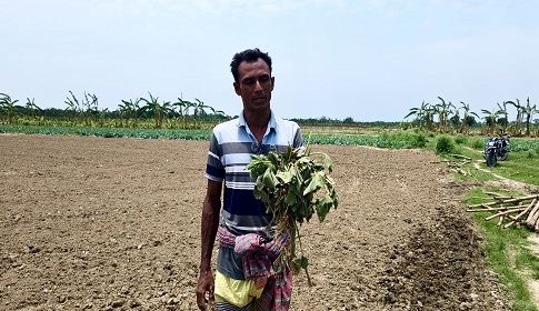 কৃষকের ৭ বিঘা জমির ফসল নষ্টের অভিযোগ 