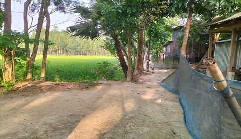 ২৫০ পরিবারের যাতায়াতের পথ নেই