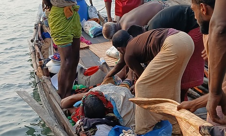 সুন্দরবনে মধু সংগ্রহ করতে গিয়ে বাঘের আক্রমণে মৌয়াল আহত