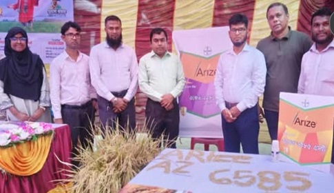 রাজবাড়ীতে বায়ার উচ্চ ফলনশীল ও বিএলবি রোগ সহনশীল অ্যারাইজ মাঠ দিবস অনুষ্ঠিত