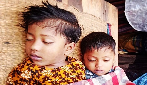 দিনাজপুরে পুকুরে ডুবে দুই ভাই বোনের মর্মান্তিক মৃত্যু, এলাকায় শোকের ছায়া 