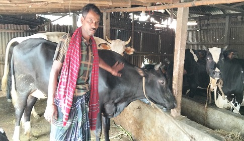 সোনাতলায় দারিদ্র্যকে জয় করে সফল খামারি নিত্য ঘোষ