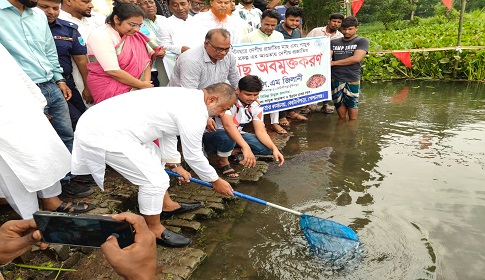 কোটালীপাড়ায় দেশীয় মাছের পোনা অবমুক্ত