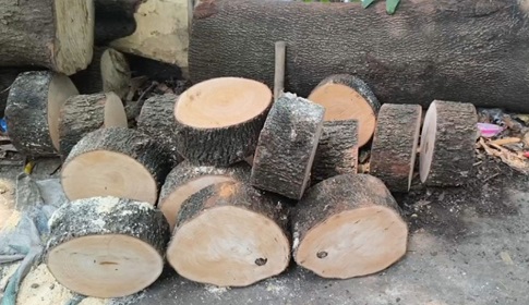তেঁতুল কাঠের খাইট্টায় হবে মাংস কাটা