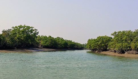 সুন্দরবন বাঁচাতে টানা ৩ মাসের নিষেধাজ্ঞা, সাতক্ষীরা উপকূলে বাড়বে দারিদ্র্যতা