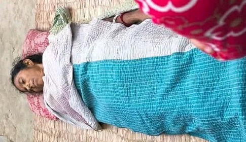 কালিগঞ্জে সাপের কামড়ে গৃহবধূর মৃত্যু