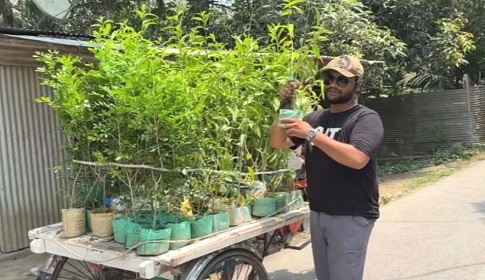 দাদি-বাবার কবরের ফুলগাছ চুরি, চোরকে না খুঁজে পুরো গ্রামকেই বানালেন ফুলের বাগান