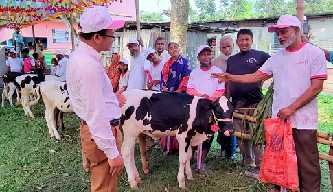 ঠাকুরগাঁওয়ে প্রান্তিক খামারিদের উন্নত জাতের বাছুর প্রদর্শনী প্রতিযোগিতা ও পুরষ্কার বিতরণী