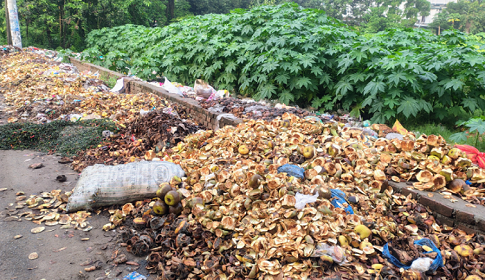 রাজবাড়ী খাদ্য গুদামের সামনে ময়লার ভাগাড়