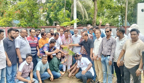 তারেক রহমানের বৃক্ষরোপণ কর্মসূচি বাস্তবায়নে ঈশ্বরদীতে বৃক্ষরোপণ