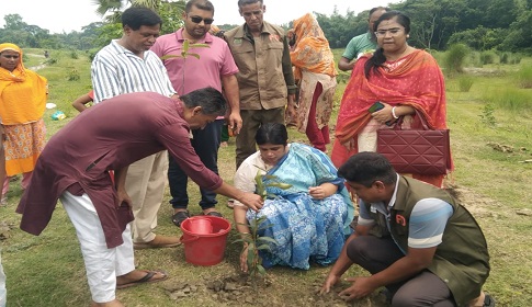 নড়াইলে বৃক্ষরোপন কর্মসূচির উদ্বোধন
