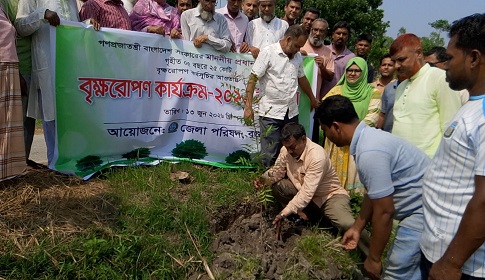 সোনাতলায় বৃক্ষরোপণ কর্মসূচি পালন