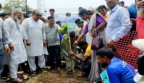 ‘জলবায়ু পরিবর্তনের বিরূপ প্রভাব মোকাবিলায় বৃক্ষরোপণের বিকল্প নেই’