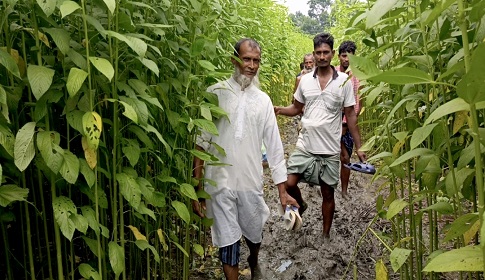 আজও হয়নি সালথার সোনাডাঙ্গী গ্রামে যাতায়াতের সেই রাস্তাটি