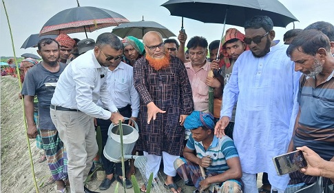 কালুখালীতে খননকৃত খালের দুই পাড়ে বৃক্ষরোপণ কর্মসূচির উদ্বোধন