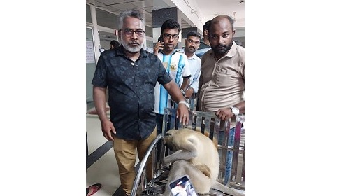 চিকিৎসা নিতে নিজেই প্রাইভেট ক্লিনিকে হাজির অসুস্থ হুনুমান 