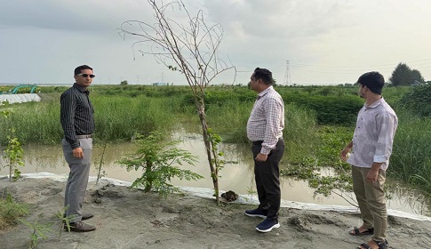 লৌহজংয়ে অবৈধ বালু ভরাট বন্ধে প্রশাসনের অভিযান