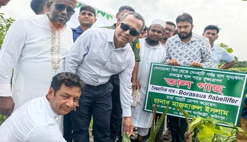সালথায় খাল পুনঃখনন প্রকল্প পরিদর্শনে জেলা প্রশাসক