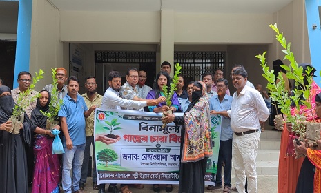 নগরকান্দায় বিআরডিবির উদ্যোগে বিনামূল্যে গাছের চারা বিতরণ
