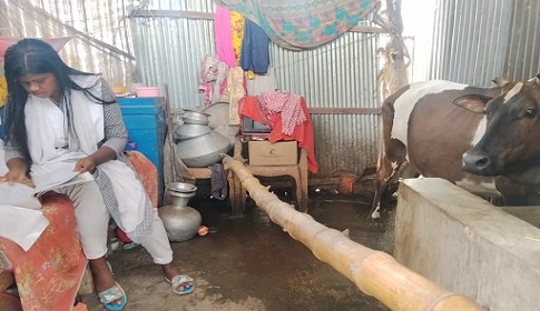 গোয়ালঘরে বাস করা মেয়েটির ভাগ্যেও জুটলো না শিক্ষাবৃত্তি
