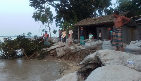 তিস্তার তীব্র ভাঙনে ৩০ বাড়ি বিলীন, দিশেহারা তীরবর্তী মানুষ