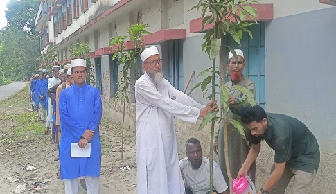 মহম্মদপুরে চাকুলিয়া এস.এম. দাখিল মাদ্রাসায় বৃক্ষরোপণ কর্মসূচি 
