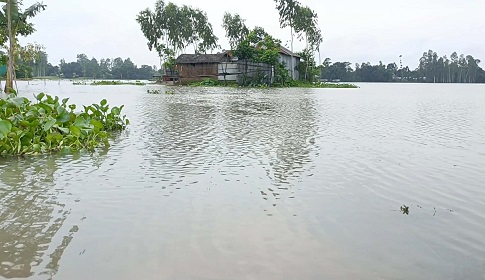 আকস্মিক বন্যায় প্লাবিত কুড়িগ্রামের নিম্নাঞ্চল, পানিবন্দী প্রায় ১০ হাজার মানুষ