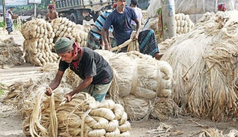 বিশ্ববাজারে পাটের হারানো গৌরব ফিরে আসুক