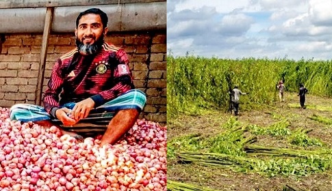 পেঁয়াজের ন্যায্যমূল্যে থেকে বঞ্চিত কৃষক, পাটেও অনিশ্চয়তা ‎