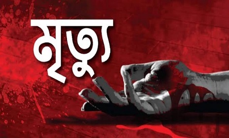 গোপালগঞ্জে গাছ চাপায় সেবায়েতের মৃত্যু 