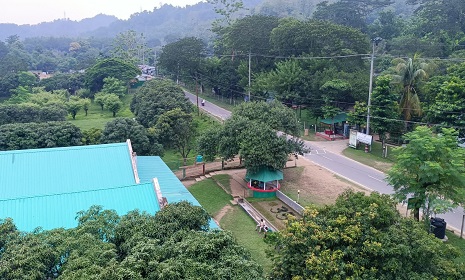 কাপ্তাইয়ে সরকারি জমি জালিয়াতি, মালিক সেজে আত্মসাতের অভিযোগে দুদকের মামলা