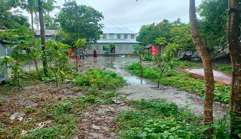 গোপালগঞ্জে ৯টি আম গাছের চারা ভেঙে উপড়ে ফেলার অভিযোগ  