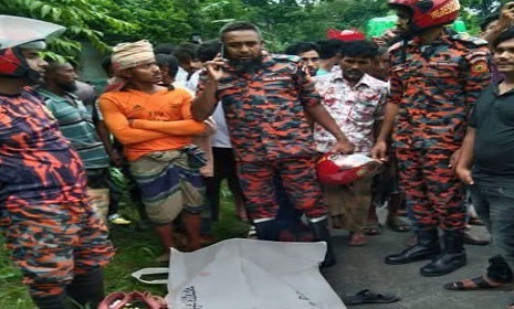 তালায় পরিবহনের চাকায় পিষ্ট হয়ে গৃহবধূ নিহত  