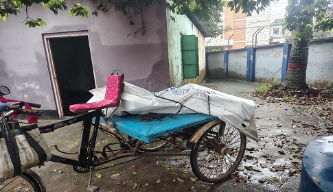 সাতক্ষীরায় নিখোঁজের তিনদিন পর মিলল পঞ্চম শ্রেণির শিক্ষার্থীর মরদেহ