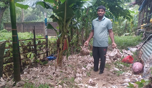 টানা বর্ষণে প্লাবিত বাঙ্গালহালিয়া: দেড় হাজার মুরগি পানিতে তলিয়ে খামারির আহাজারি